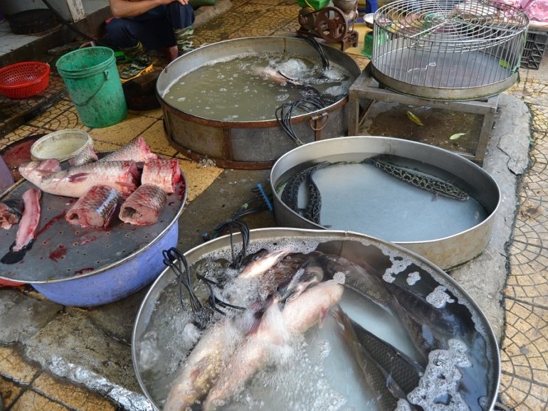 banner-wet-market